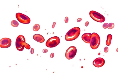 red blood cells crop 1